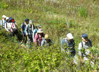 軽登山教室